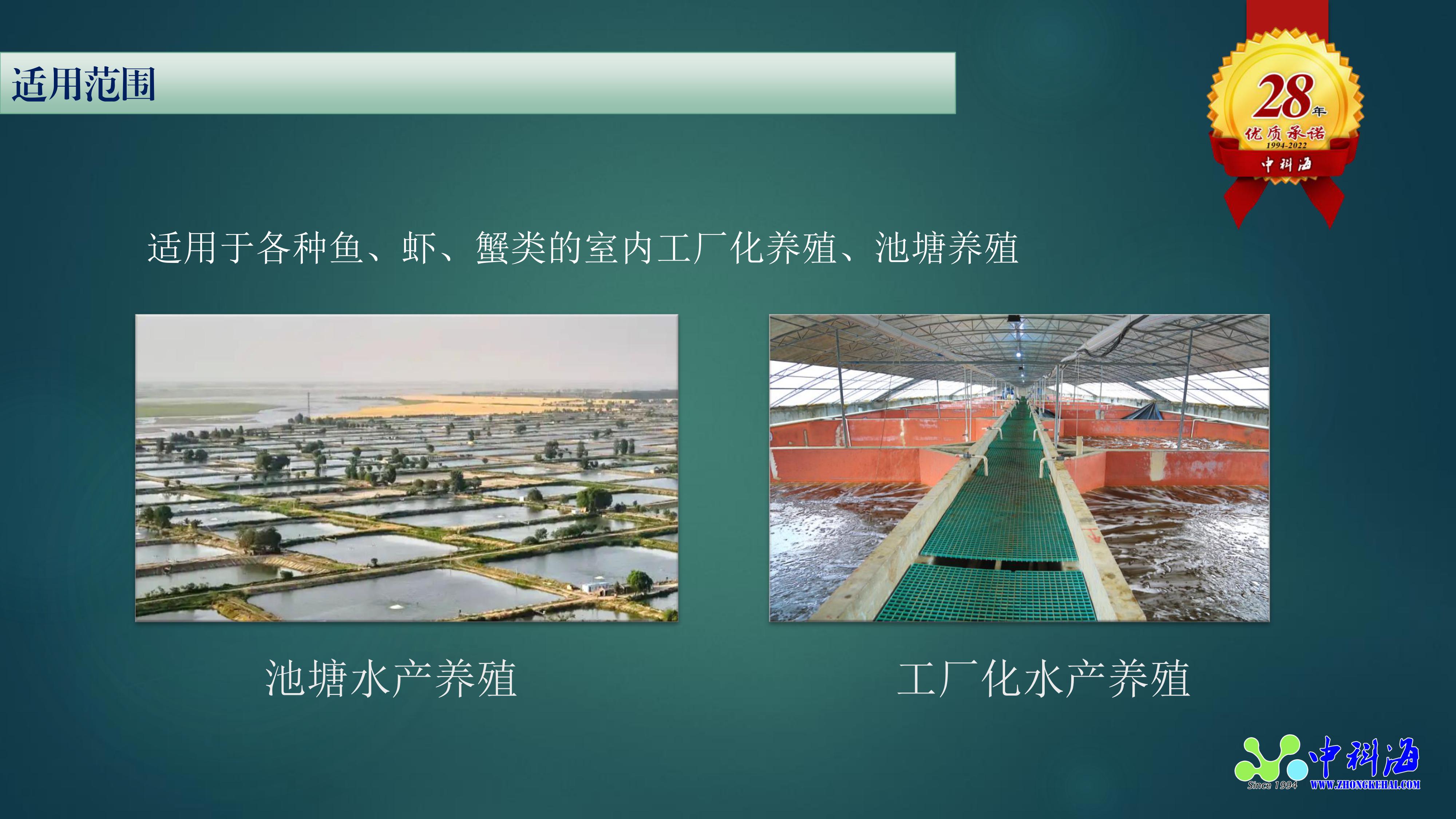 中科海 中科海