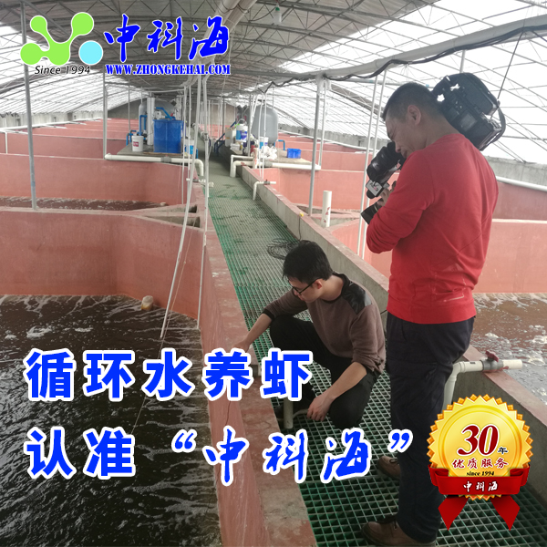 中科海 1522558466.jpg