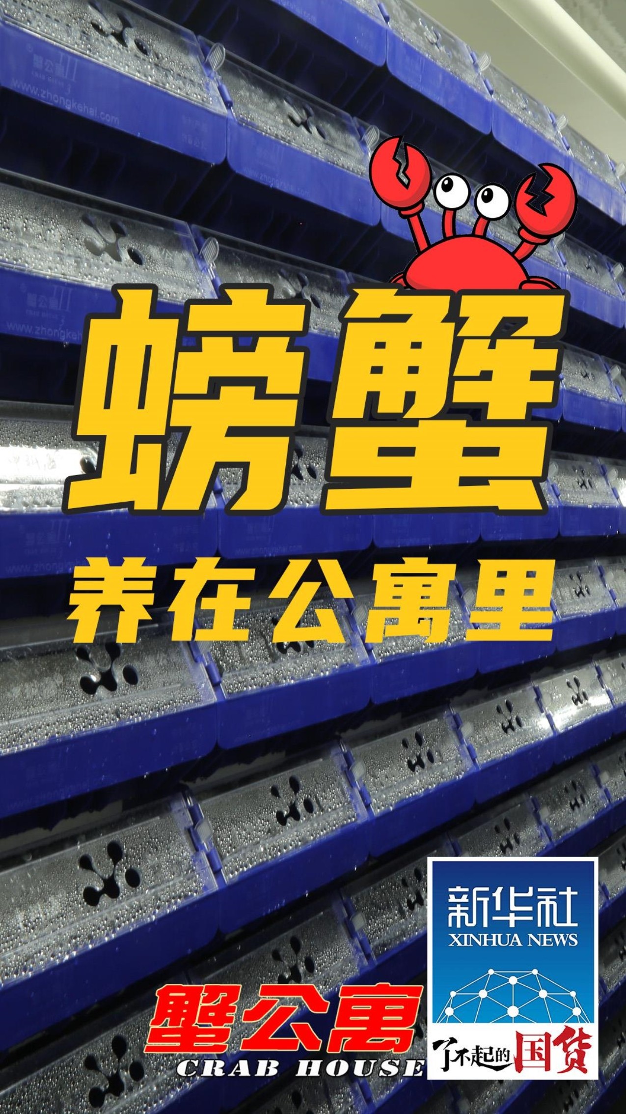 中科海 中科海