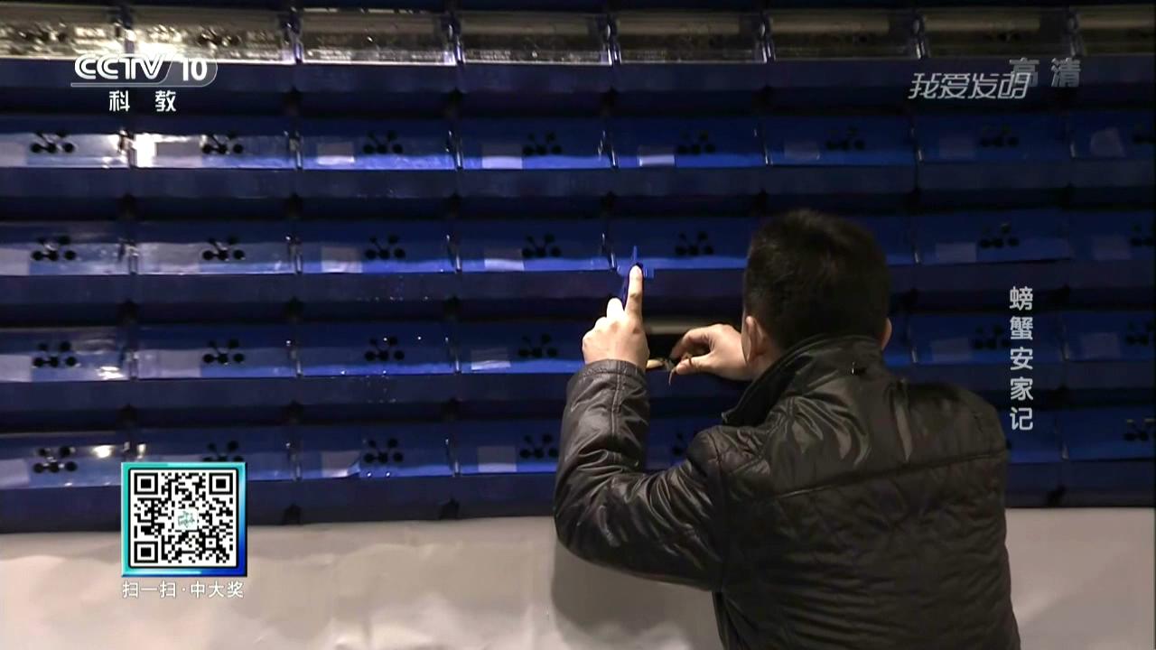 中科海