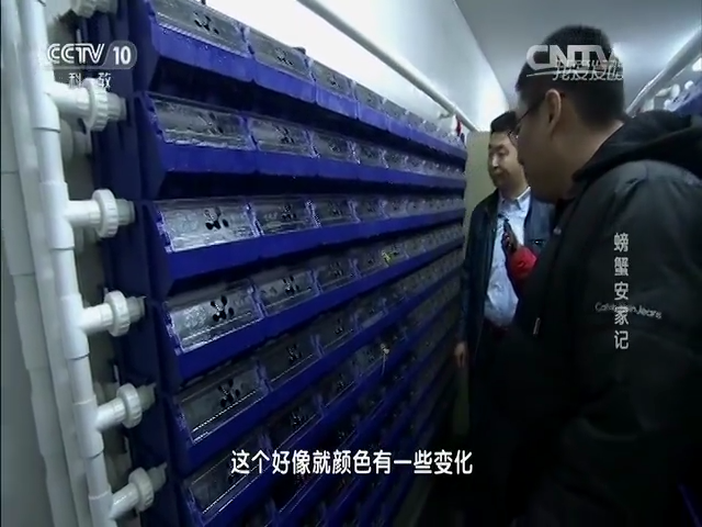 中科海