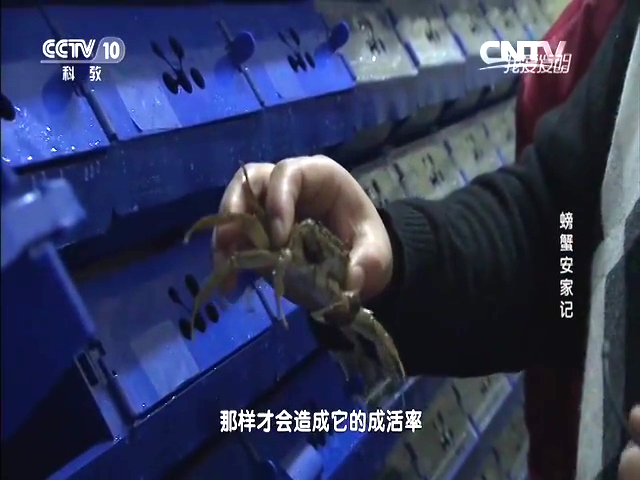 中科海
