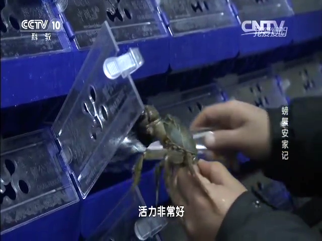 中科海