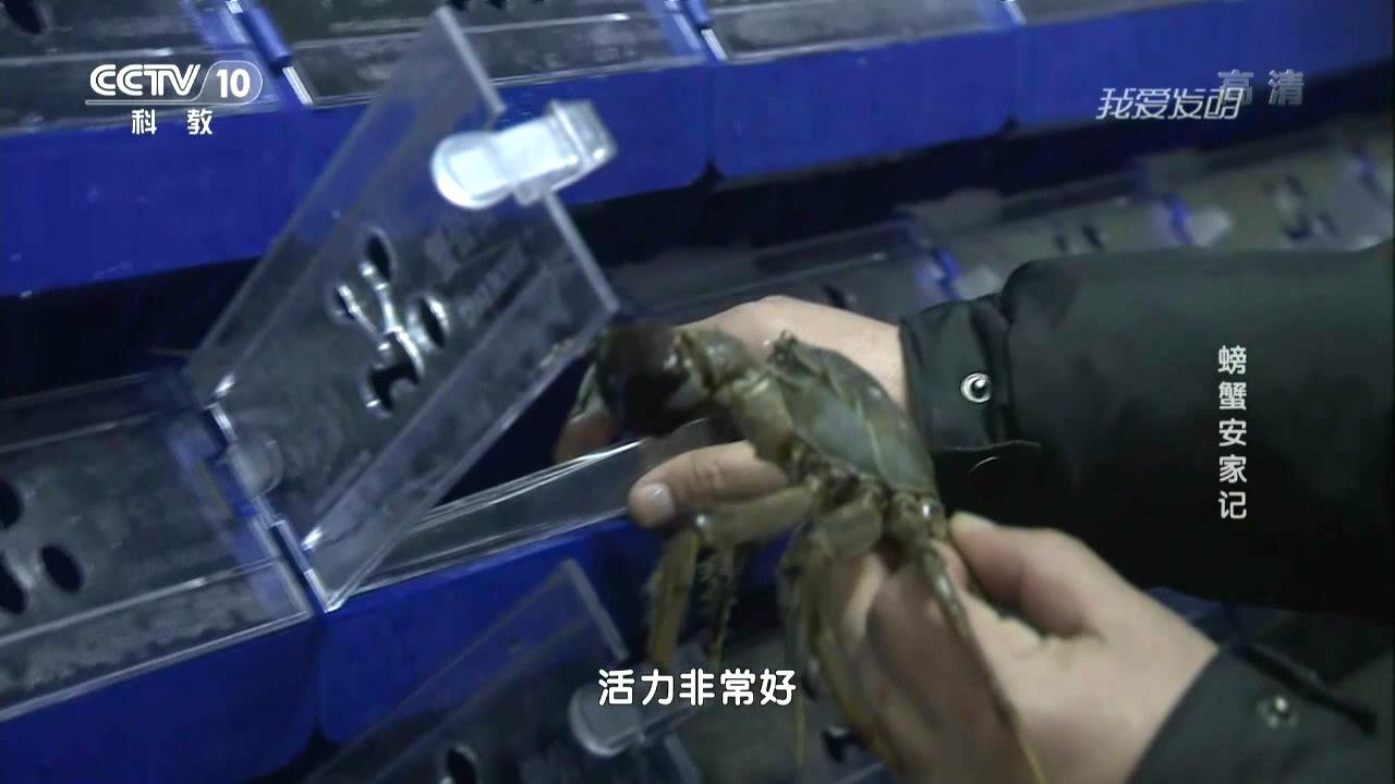 中科海