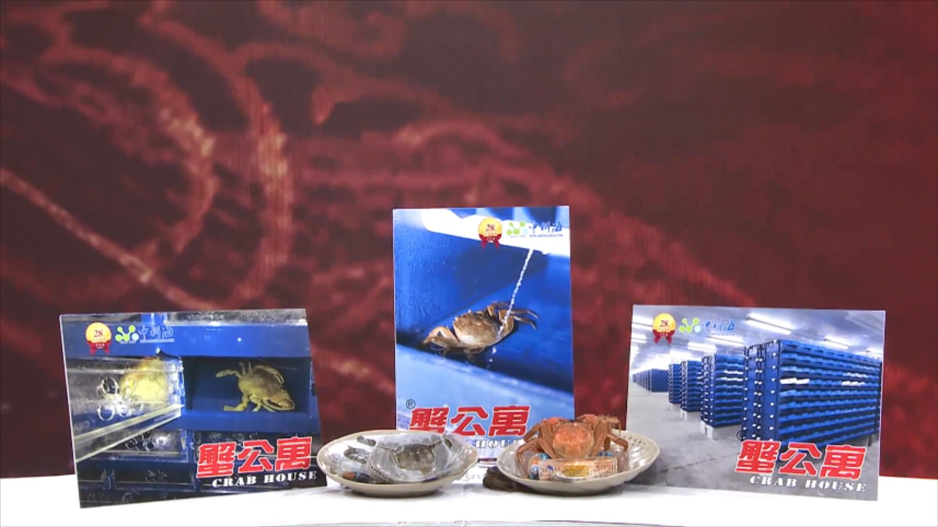 中科海 中科海