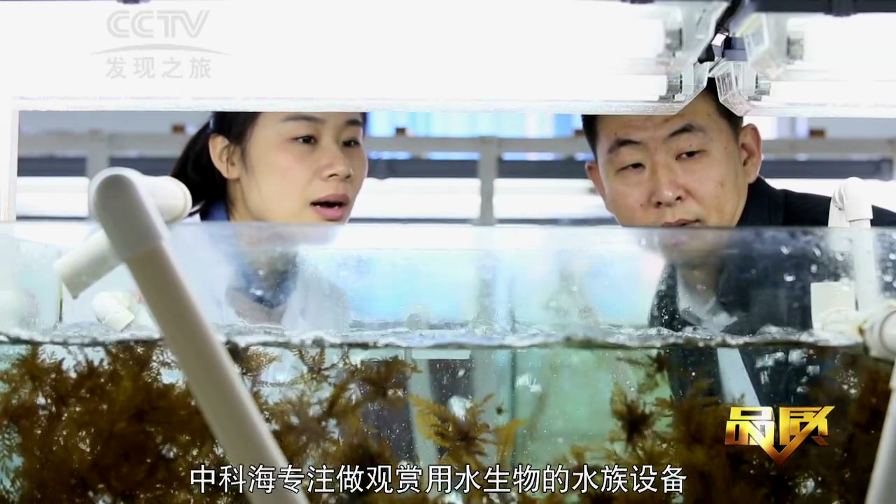 中科海