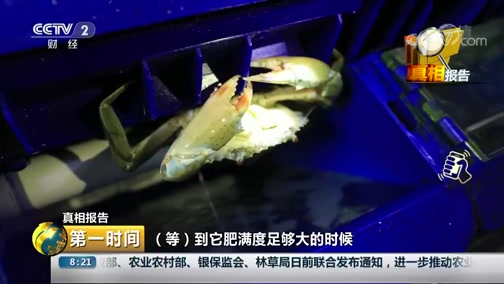 中科海