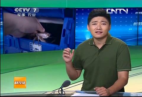 中科海