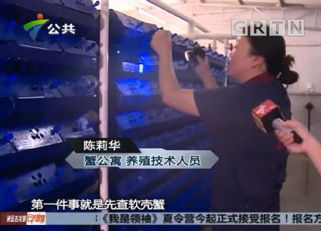 中科海 中科海