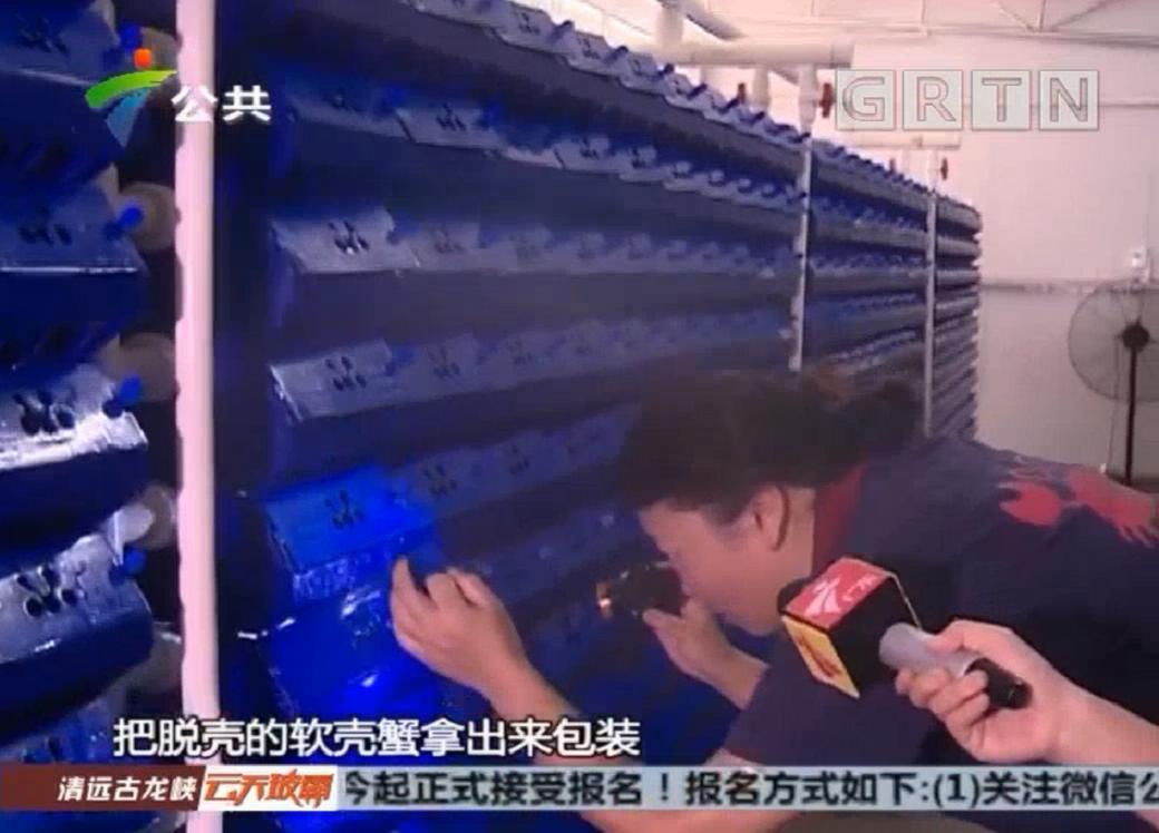 中科海 中科海