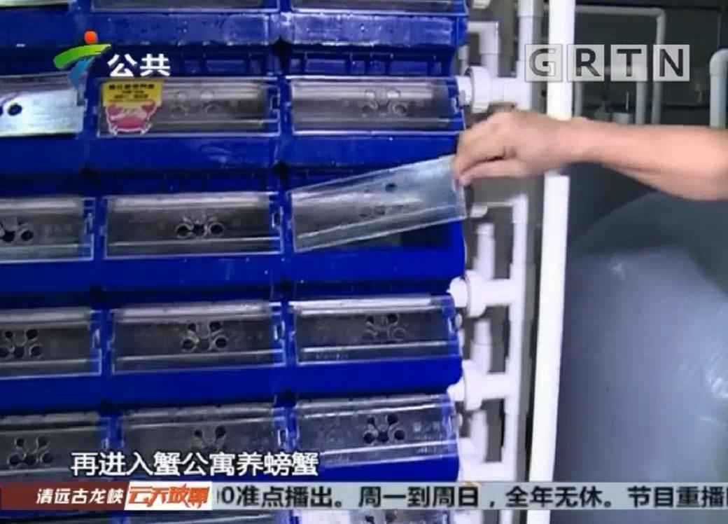中科海 中科海