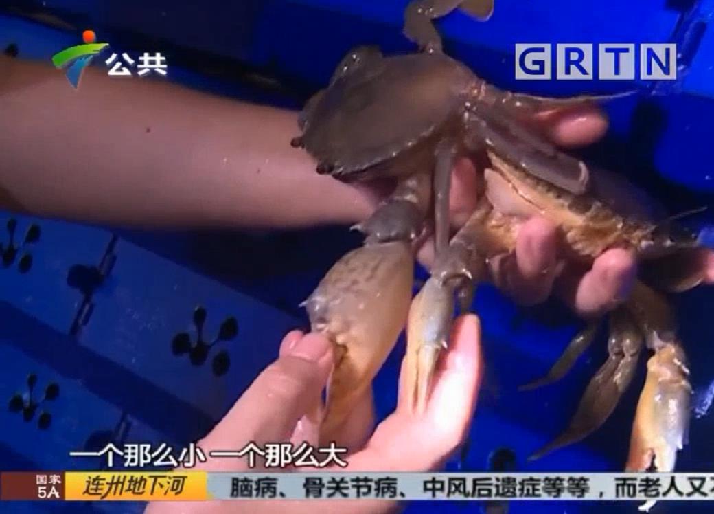 中科海 中科海