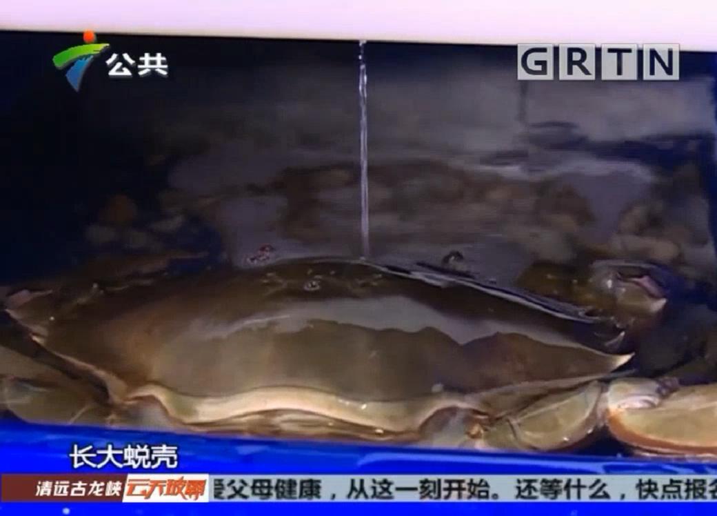 中科海 中科海