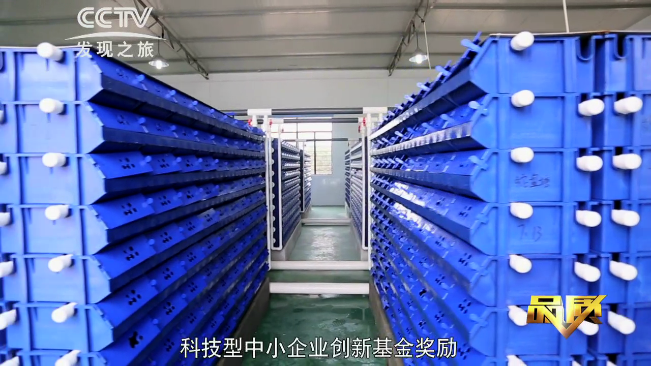 中科海