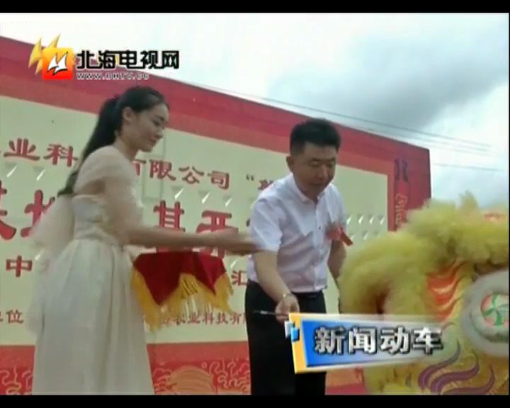 中科海