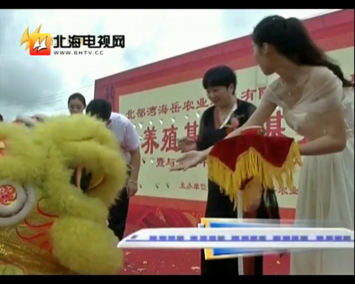 中科海
