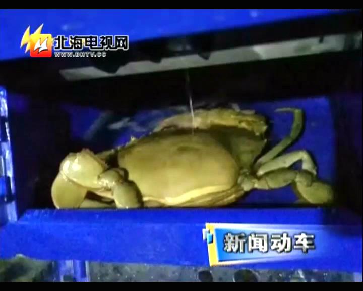 中科海
