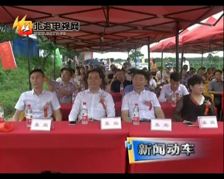 中科海