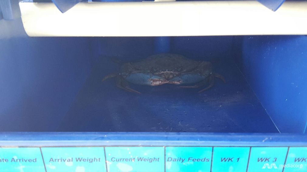 中科海