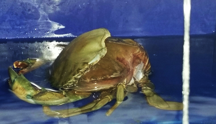中科海