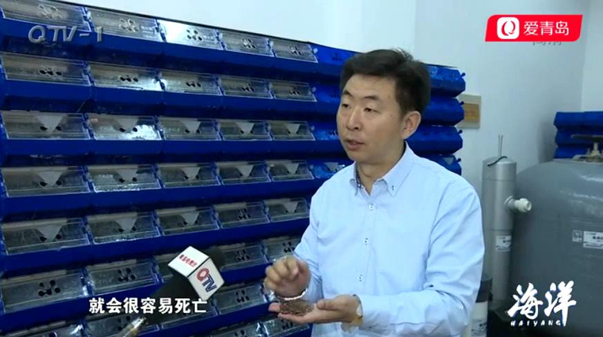 中科海 中科海