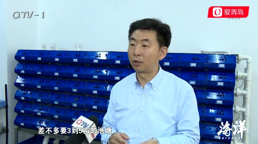 中科海 中科海