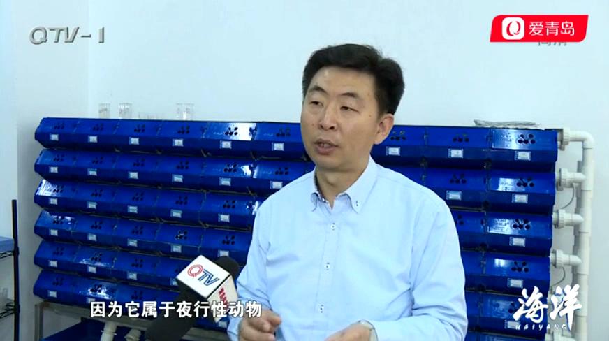 中科海 中科海