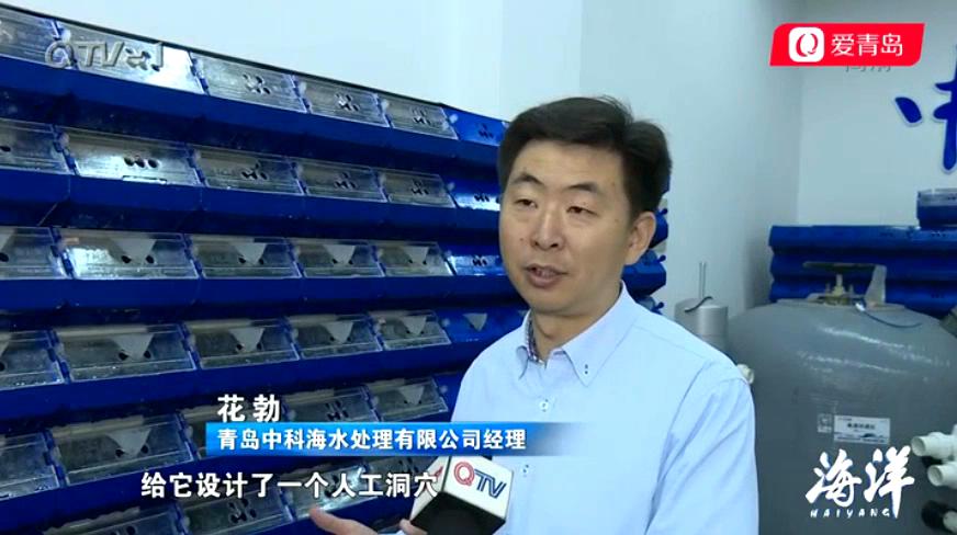 中科海 中科海