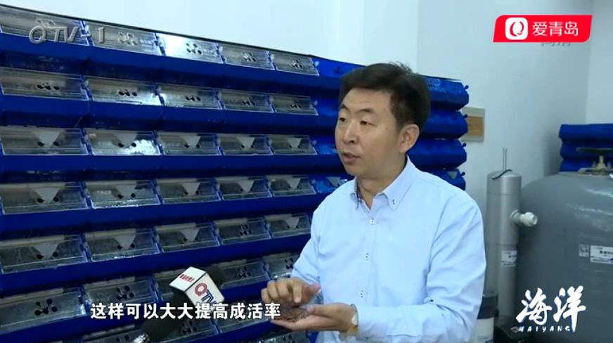 中科海 中科海