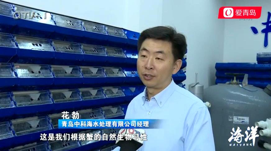中科海 中科海