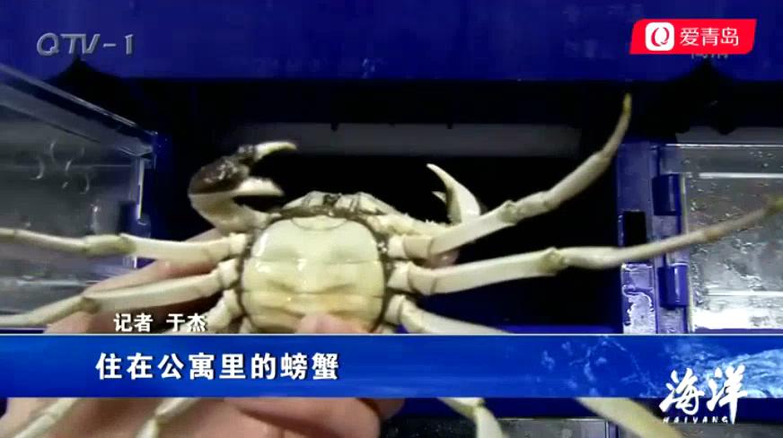 中科海 中科海