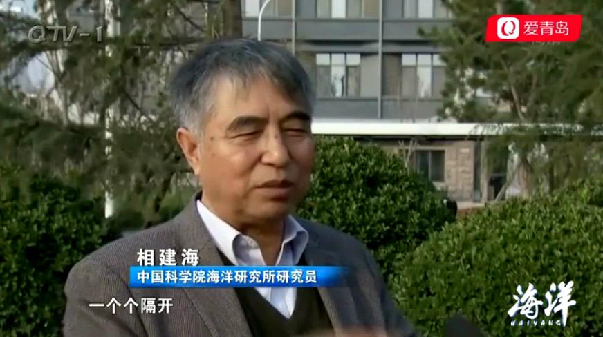 中科海 中科海