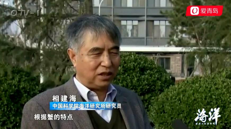 中科海 中科海