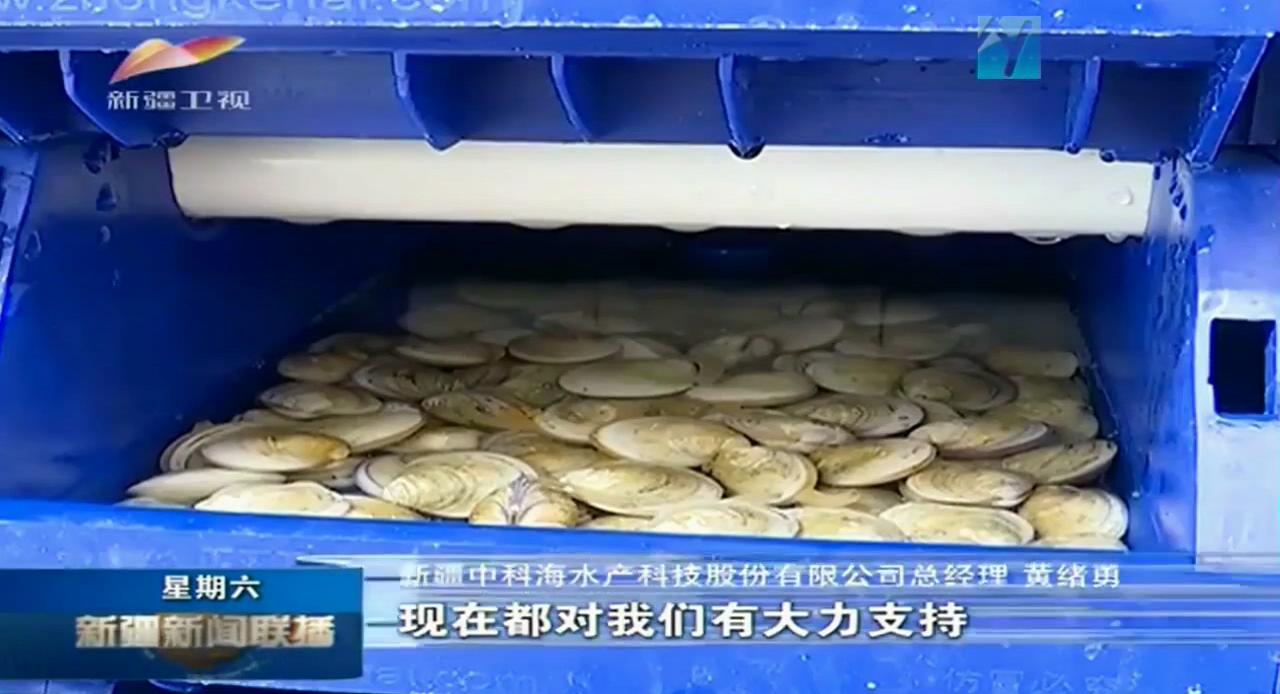 中科海 中科海
