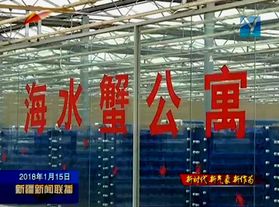中科海 中科海