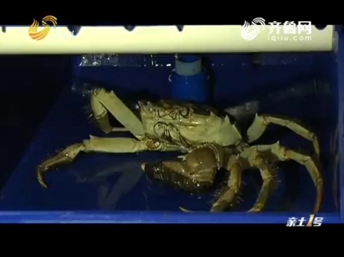 中科海 中科海