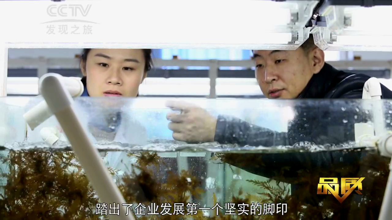 中科海