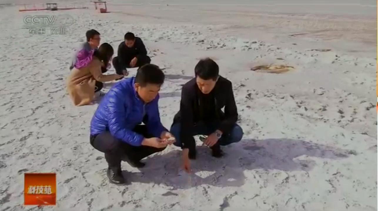中科海 中科海
