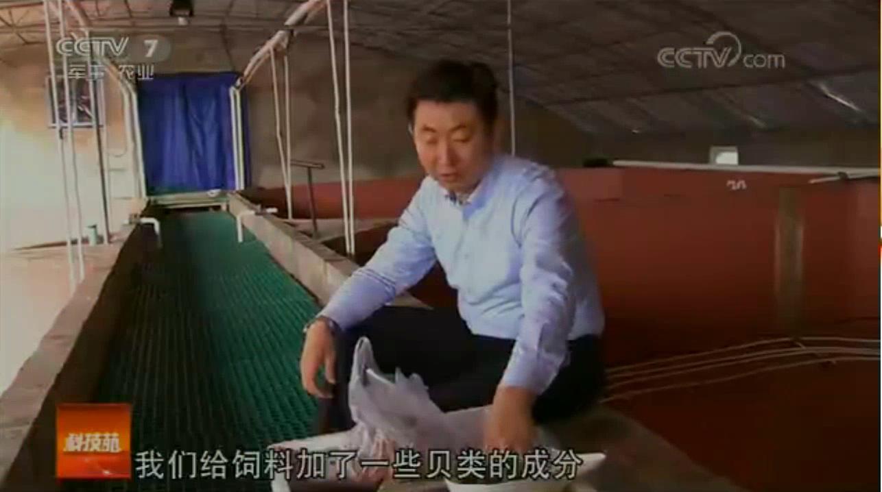 中科海 中科海