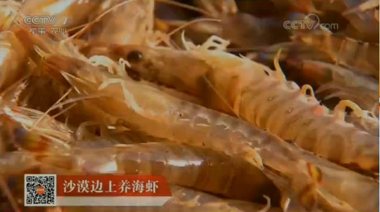 中科海 中科海