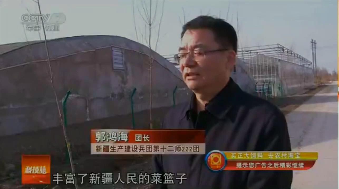 中科海 中科海