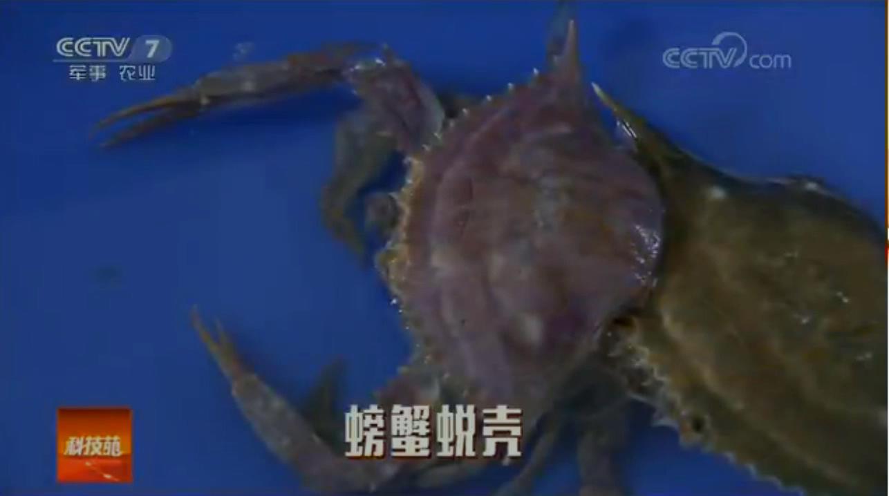 中科海 中科海