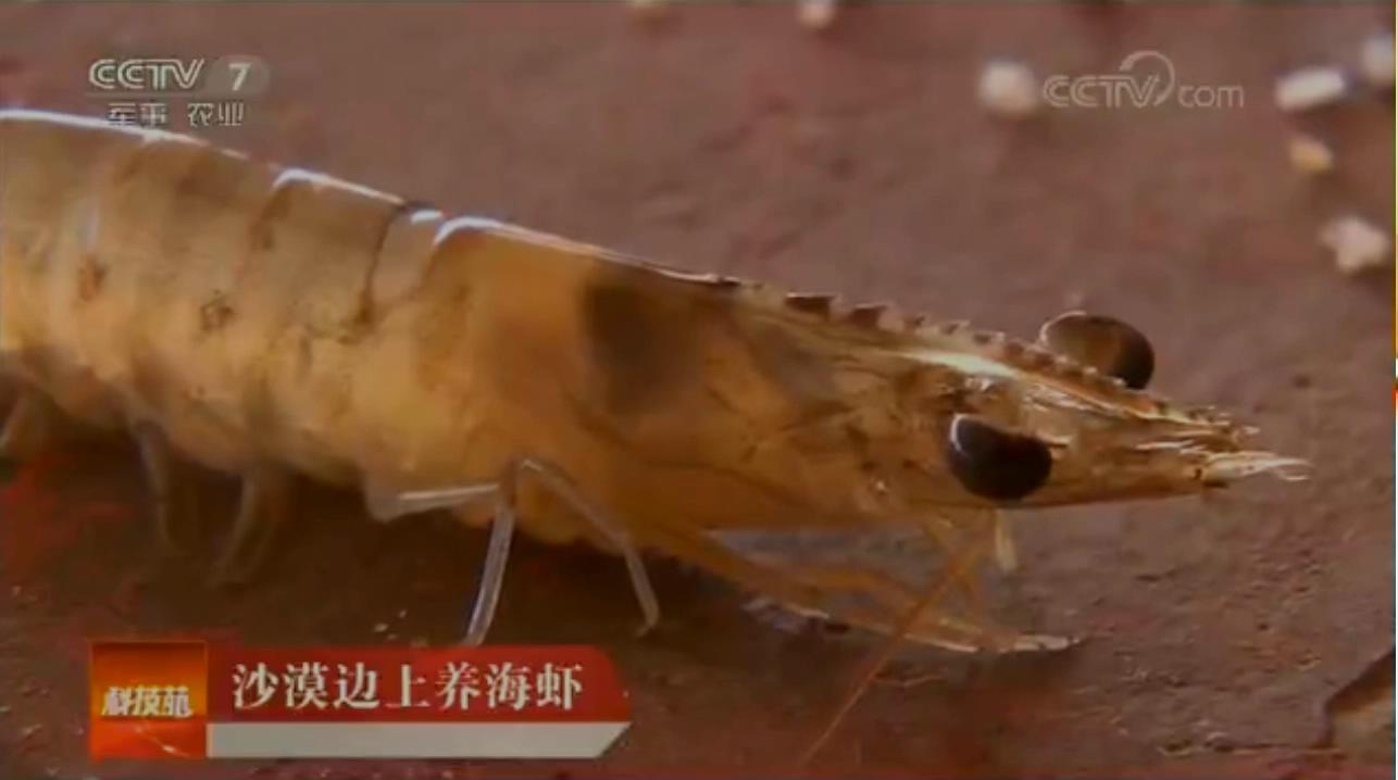 中科海 中科海