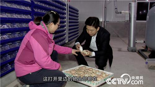 中科海 抓住两小时 他靠软壳蟹发硬财(20170315)
