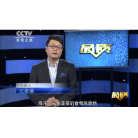 中科海 企业纪录片《数年磨一剑 蛟龙自海腾》