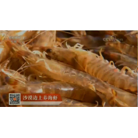 CCTV-7 《科技苑》沙漠旁边养海虾--中科海投资新疆-2018年4月
