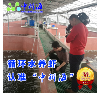 Hệ thống nuôi tôm nước tuần hoàn trong nhà - nuôi tôm bên rìa sa mạc