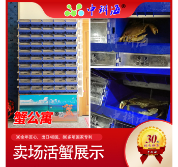 Siêu thị loại cua chung cư cua/cua vỏ mềm hệ thống tuần hoàn nước nuôi ba chiều - thế hệ thứ ba (Hua Bo - cua phòng đơn - biệt thự cua - nhà cua - nhà cua - nồi cua - NHÀ CUA - CĂN HỘ CUA)