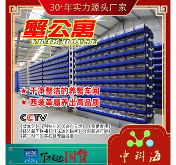 Loại sản xuất trong nhà hệ thống nuôi cua nước tuần hoàn ba chiều trong nhà căn hộ cua (Huabo-cua phòng đơn-biệt thự cua-nhà cua-nhà cua-nồi cua-CRAB HOUSE-CRAB CONDO) bộ