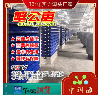 Loại sản xuất trong nhà hệ thống nuôi cua nước tuần hoàn ba chiều trong nhà căn hộ cua (Huabo-cua phòng đơn-biệt thự cua-nhà cua-nhà cua-nồi cua-NHÀ CUA-CRAB CONDO) bộ (mười bộ)